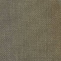 5900- Olive Caravelli Plain